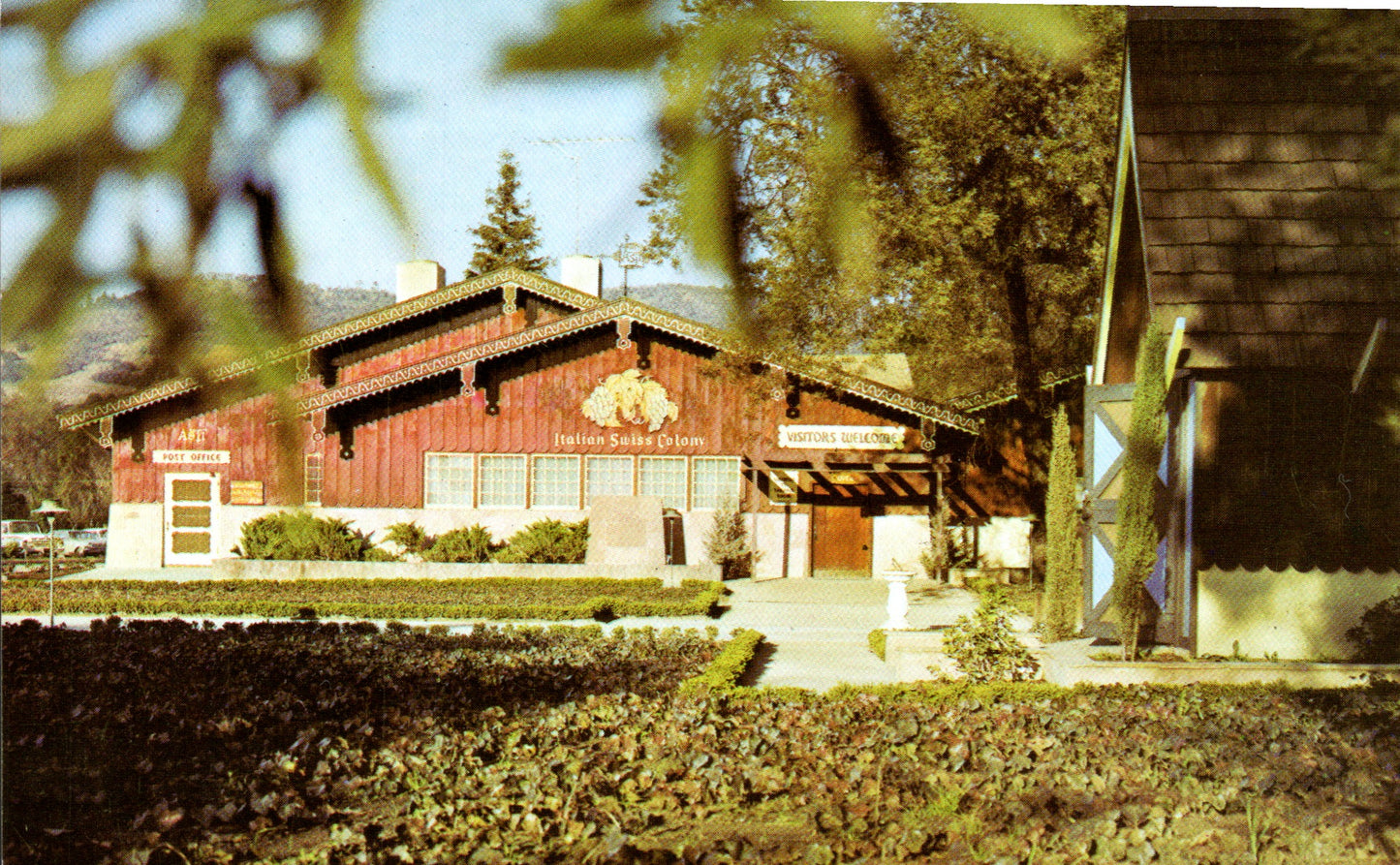 Sonoma County, CA (119 items)