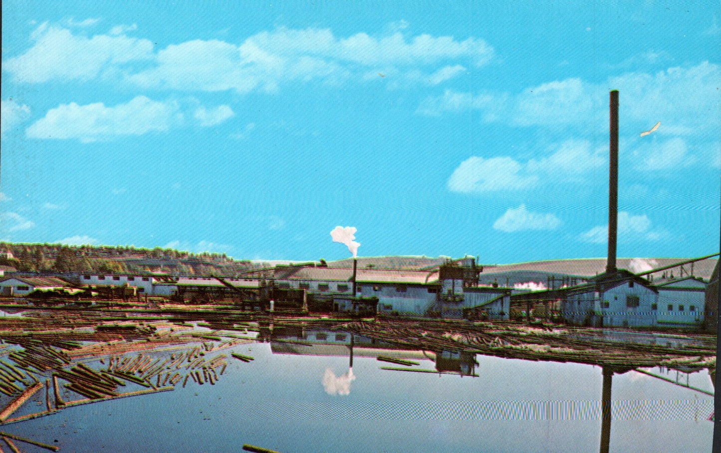 Umatilla County, OR (60 items)
