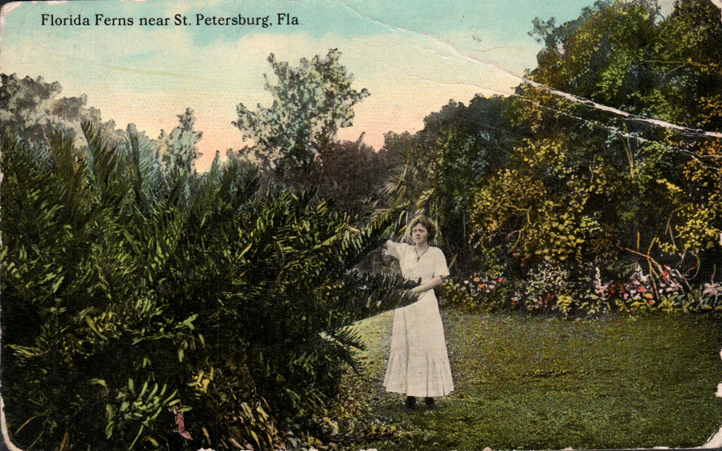 Pinellas County, FL (109 items)
