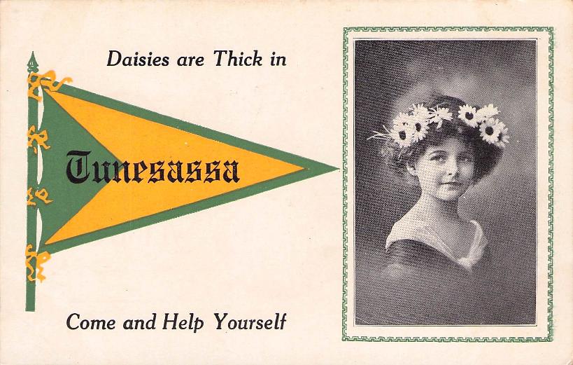 Cattaraugus County, NY (22 items)