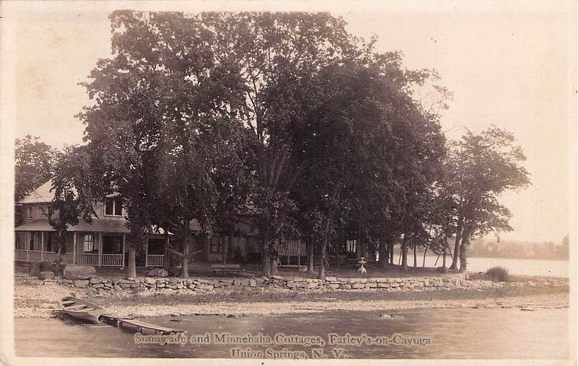 Cayuga County, NY (31 items)