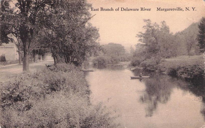 Delaware County, NY (41 items)