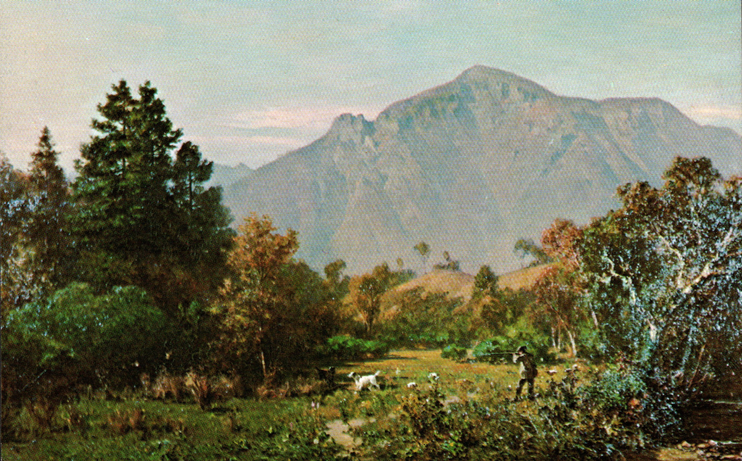 Napa County, CA (34 items)