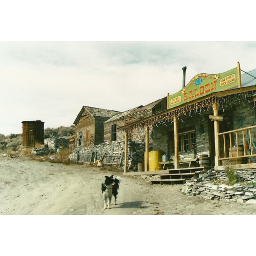 Belmont, Nevada by Alan H. Patera (Western Places Vol 8-1)